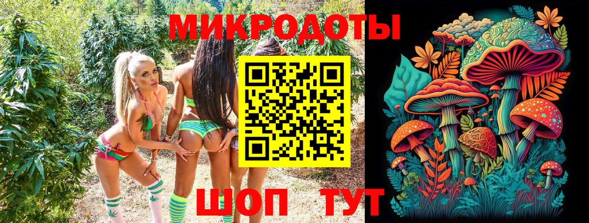 Ставрополь  Галлюциногенные грибы ЛСД  купить наркотики сайты  Псилоцибиновые грибы MAGIC MUSHROOMS  Вход с VPN 