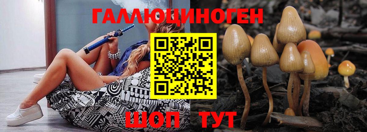 Псилоцибиновые грибы мухоморы Ставрополь